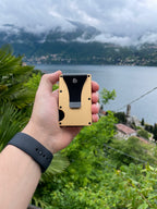 Givanna Wallet | Champagne Gold