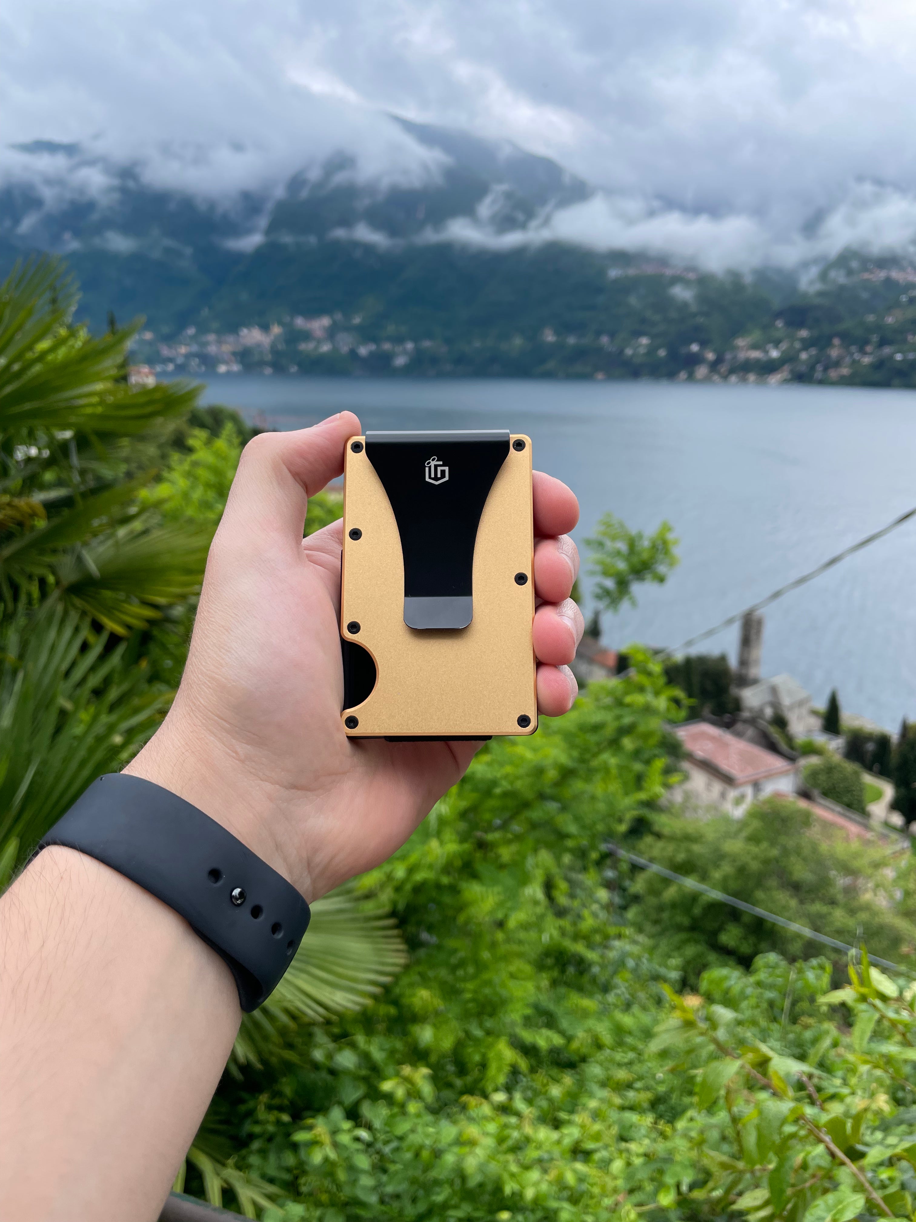 Givanna Wallet | Champagne Gold