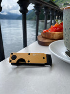 Givanna Keycase | Champagne Gold